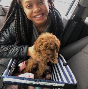 Meet your Posher, Mia